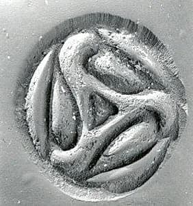 Compartmented stamp seal by Unknown Artist