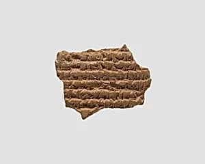 Cuneiform tablet: fragment of a liver omen by Unknown Artist