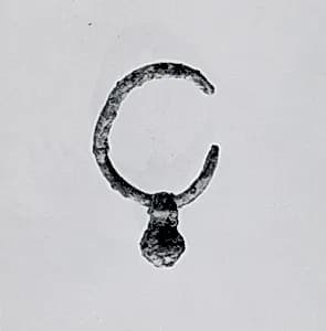 Earring by Unknown Artist
