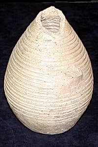 Jar by Unknown Artist