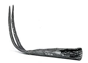 Rake by Unknown Artist