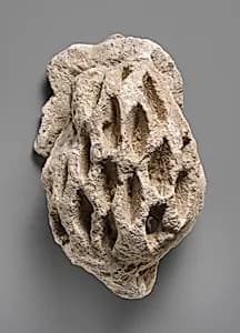 Relief fragment by Unknown Artist