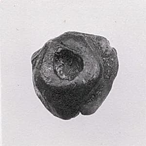 Sealing by Unknown Artist