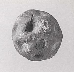 Sealing by Unknown Artist