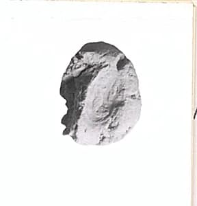 Sealing by Unknown Artist