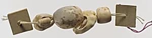 Shell beads by Unknown Artist