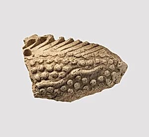 Sherd by Unknown Artist