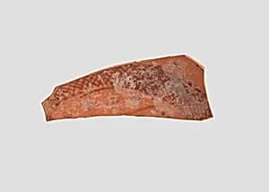 Sherd by Unknown Artist