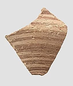 Sherd by Unknown Artist