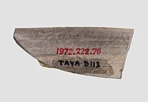 Sherd by Unknown Artist