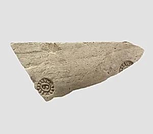 Sherd by Unknown Artist