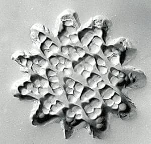 Stamp seal by Unknown Artist