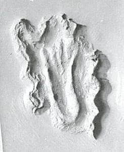 Stamp seal by Unknown Artist