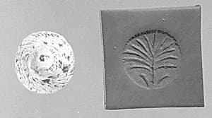 Stamp seal (conoid knob) with plant by Unknown Artist