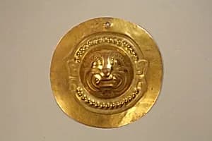 Mammalian disk by Unknown Artist