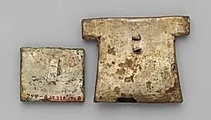 Miniature Litter Section