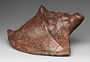 Shell Vessel by Unknown Artist