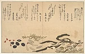 Shells under Water by Kitagawa Utamaro