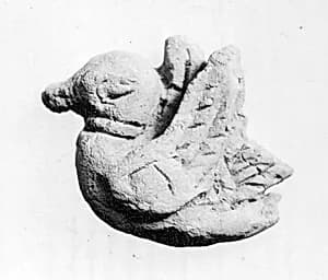 Duck by Unknown Artist
