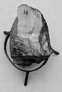 Fragment by Unknown Artist