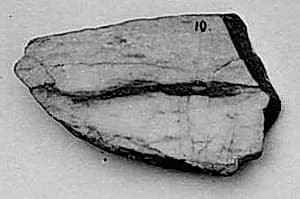 Fragment by Unknown Artist