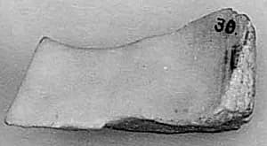 Fragment by Unknown Artist