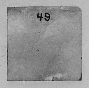Fragment by Unknown Artist