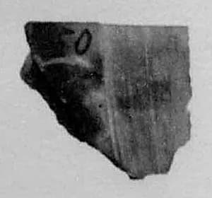 Fragment by Unknown Artist