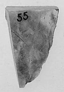 Fragment by Unknown Artist