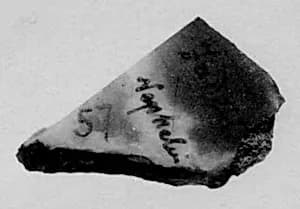 Fragment by Unknown Artist