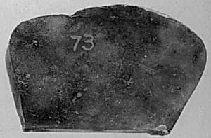 Fragment by Unknown Artist