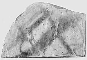 Fragment by Unknown Artist