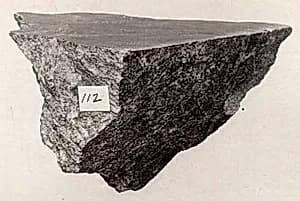 Fragment by Unknown Artist