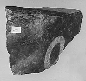 Fragment by Unknown Artist