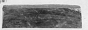 Fragment by Unknown Artist