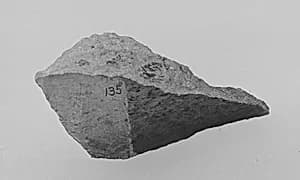 Fragment by Unknown Artist