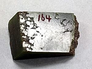 Fragment by Unknown Artist