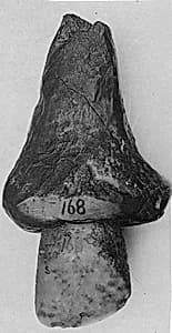 Hatchet by Unknown Artist