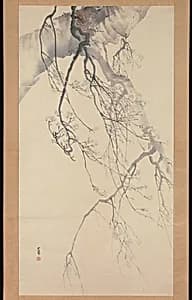 Cherry Blossoms by Matsumura Goshun