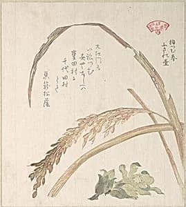Rice Plant and Butter-Burs by Kubo Shunman
