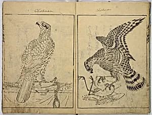 Book of Famous Japanese and Chinese Paintings by Ooka Shunboku