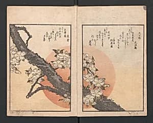One Hundred Comic Poems of the Flower, One of the Three Friends, Tsuki, the Moon, Yuki, the Snow, and Hana, the Flower (Sansai hana hyakushu) 三才花百首 by Totoya Hokkei