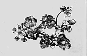 Part of Burial Crown by Unknown Artist