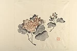 Page from Shi Zhu Zhai by Unknown Artist