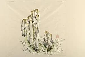 Page from Shi Zhu Zhai by Unknown Artist
