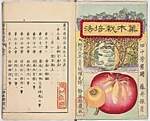 Illustrated book by Unknown Artist