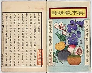 Illustrated book by Unknown Artist