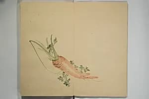 Untitled Picture Album of Twenty-five Watercolor Paintings by Nishiyama Hōen 西山芳園