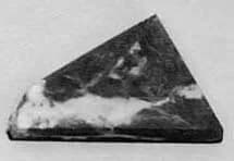 Fragment by Unknown Artist