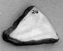 Fragment by Unknown Artist
